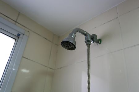 Apartamento para alugar com 48m², 2 quartos e 1 vagaBanheiro Social