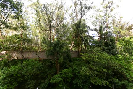 Apartamento para alugar com 48m², 2 quartos e 1 vagaVista do Quarto 2