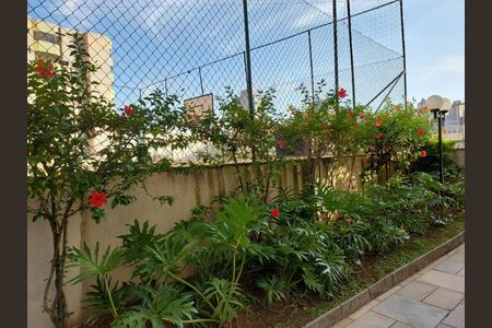 Apartamento à venda com 81m², 3 quartos e 1 vagaFoto 24