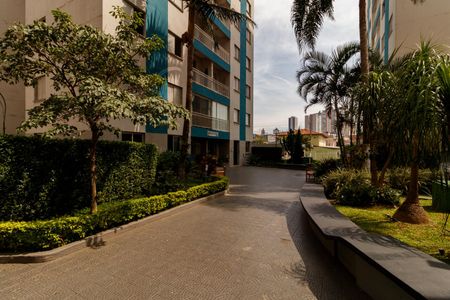 Área comum de apartamento para alugar com 3 quartos, 62m² em Vila Guilherme, São Paulo