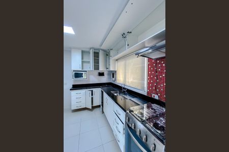 Apartamento para alugar com 110m², 3 quartos e 1 vaga Apartamento para alugar com 110m², 3 quartos e 1 vagaCozinha