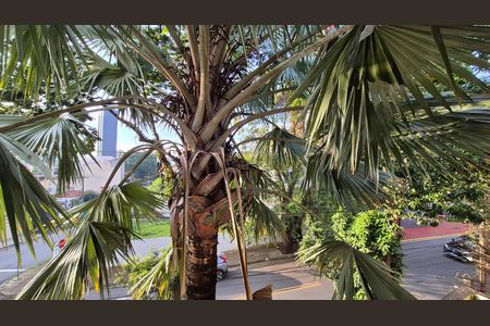 Casa à venda com 352m², 4 quartos e 4 vagas Casa à venda com 352m², 4 quartos e 4 vagasVista