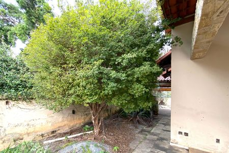 Casa para alugar com 1080m², 3 quartos e 5 vagasJardim