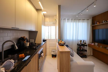 Cozinha e Área de Serviço de apartamento para alugar com 2 quartos, 36m² em Usina Piratininga, São Paulo