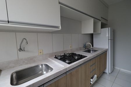 Cozinha de apartamento para alugar com 2 quartos, 54m² em Reserva Sul Condomínio Resort, Ribeirão Preto
