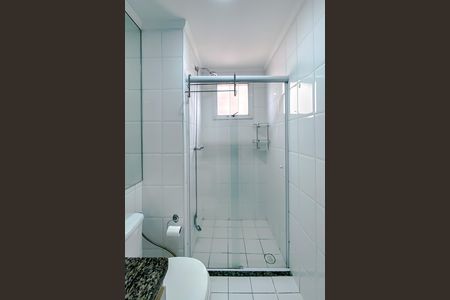 Banheiro da Suíte de apartamento para alugar com 2 quartos, 56m² em Barra Funda, São Paulo