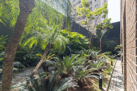 Apartamento para alugar com 30m², 1 quarto e sem vagaÁrea externa