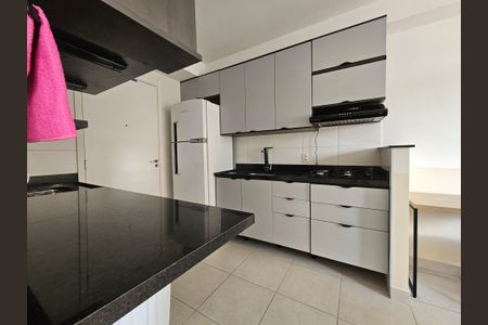 Cozinha de apartamento para alugar com 1 quarto, 28m² em Jardim Caravelas, São Paulo
