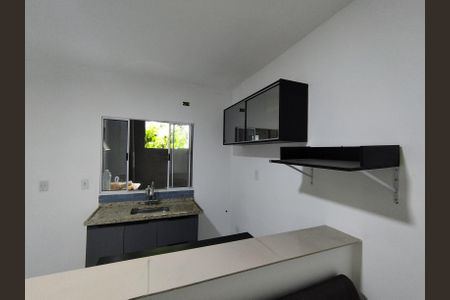 Cozinha - Armários de casa para alugar com 1 quarto, 45m² em Vila Moraes, São Paulo