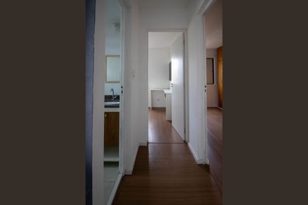 Corredor  de apartamento para alugar com 2 quartos, 55m² em Jardim Umarizal, São Paulo