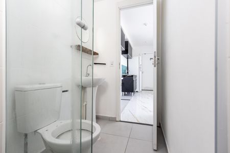 Banheiro de apartamento para alugar com 2 quartos, 45m² em Barra Funda, São Paulo