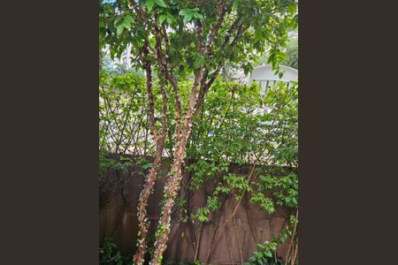 Apartamento à venda com 110m², 2 quartos e 2 vagas Apartamento à venda com 110m², 2 quartos e 2 vagasFoto 56