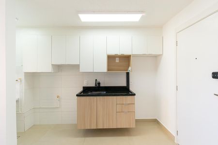 Cozinha de apartamento para alugar com 2 quartos, 42m² em Parque da Vila Prudente, São Paulo