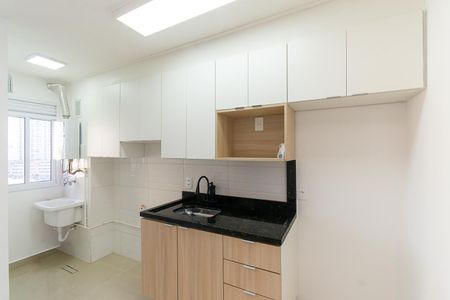 Apartamento para alugar com 42m², 2 quartos e sem vaga Apartamento para alugar com 42m², 2 quartos e sem vagaCozinha