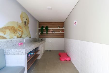 Apartamento para alugar com 32m², 1 quarto e sem vagaPet Place