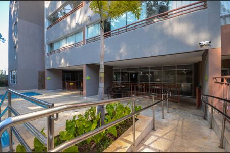 Área comum - Piscina de apartamento à venda com 3 quartos, 66m² em Vila Cruz das Almas, São Paulo