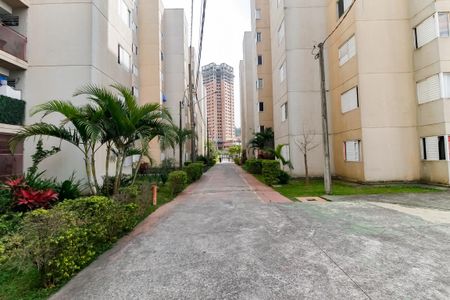 Condomínio de apartamento para alugar com 3 quartos, 64m² em Jardim Salete, Taboão da Serra