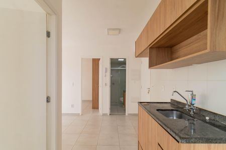 Apartamento para alugar com 34m², 2 quartos e sem vagaCozinha