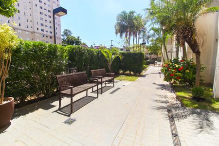 Apartamento para alugar com 45m², 2 quartos e 1 vagaÁrea comum