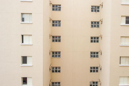 Studio para alugar com 80m², 3 quartos e 2 vagasVista da Suíte