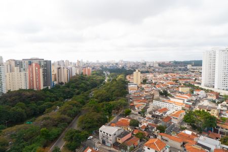 Vista do Quarto 1 de apartamento à venda com 3 quartos, 146m² em Vila Monte Alegre, São Paulo