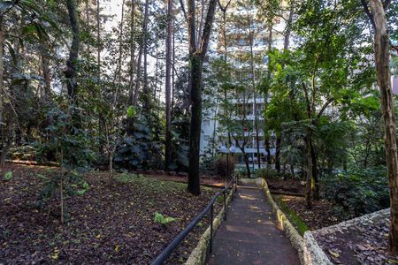 Área comum de apartamento para alugar com 3 quartos, 90m² em Vila Ester (zona Norte), São Paulo