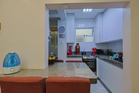 Cozinha de apartamento à venda com 2 quartos, 56m² em Sagrada Família, Belo Horizonte