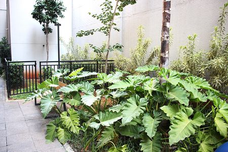Studio para alugar com 25m², 1 quarto e sem vagaÁrea Comum