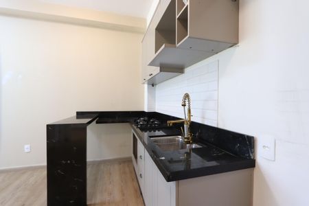 Apartamento para alugar com 41m², 2 quartos e sem vagaCozinha
