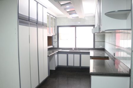 Apartamento à venda com 254m², 3 quartos e 3 vagasCozinha