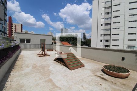 Apartamento para alugar com 50m², 2 quartos e 1 vagaEspaço Pet