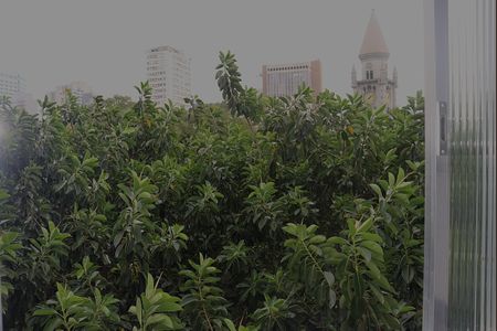 Studio para alugar com 32m², 1 quarto e sem vagaVista da Cozinha