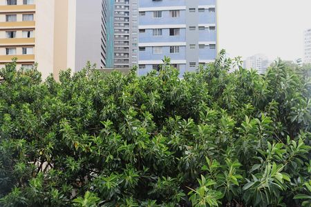 Studio para alugar com 32m², 1 quarto e sem vagaVista da Sala