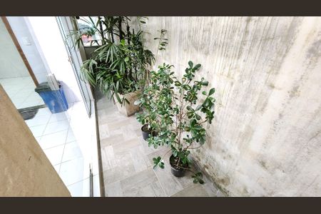 Casa para alugar com 180m², 3 quartos e 1 vagaQuintal