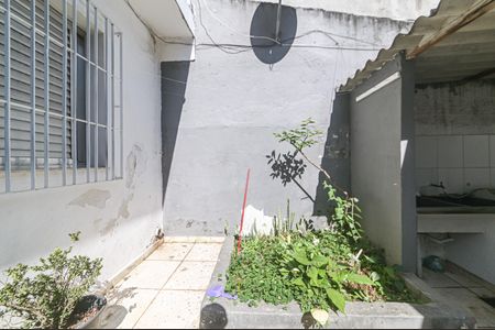 Lavanderia - Quintal de casa para alugar com 1 quarto, 45m² em Jardim Aeroporto, São Paulo