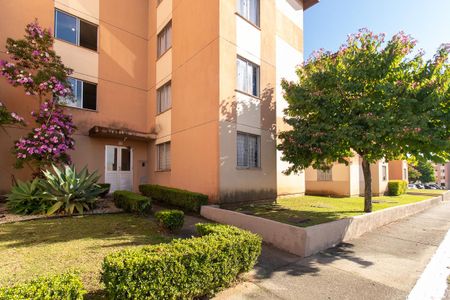 Fachada do bloco de apartamento para alugar com 2 quartos, 42m² em Santo Antônio, São José dos Pinhais