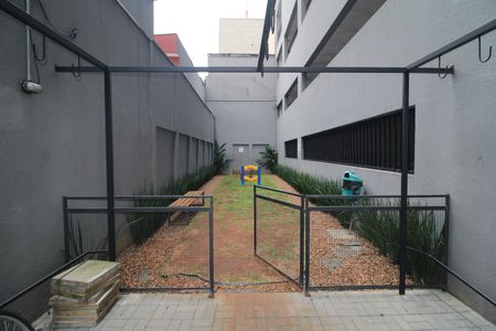 Studio para alugar com 26m², 1 quarto e sem vagaÁrea Comum