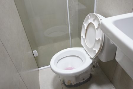 Studio para alugar com 28m², 1 quarto e sem vagaBanheiro