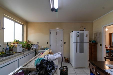 Apartamento à venda com 213m², 3 quartos e 2 vagasCozinha