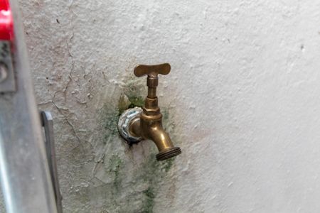 Apartamento à venda com 54m², 1 quarto e sem vagaLavanderia (Torneira)