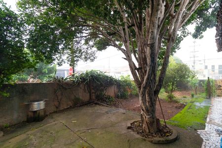 Casa à venda com 113m², 3 quartos e 2 vagasQuintal