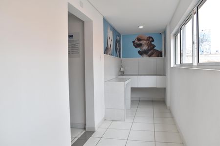 Apartamento para alugar com 40m², 1 quarto e 1 vagaÁrea comum - Espaço Pet