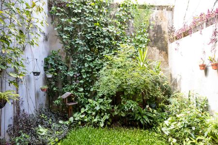 Casa para alugar com 240m², 3 quartos e 4 vagasJardim