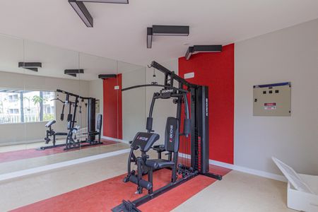Apartamento para alugar com 50m², 2 quartos e 1 vaga Apartamento para alugar com 50m², 2 quartos e 1 vagaÁrea comum - Academia