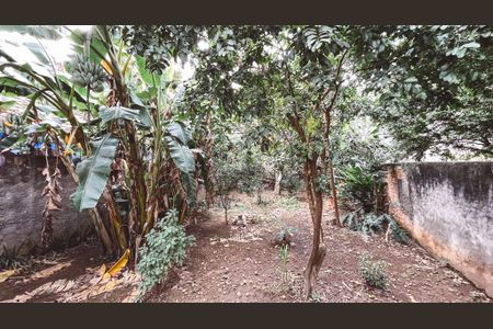 Casa à venda com 550m², 6 quartos e 5 vagas Casa à venda com 550m², 6 quartos e 5 vagasQuintal