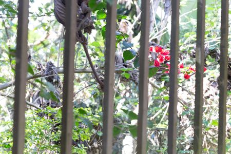 Apartamento para alugar com 47m², 2 quartos e 1 vagaArea Verde