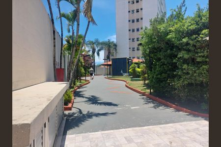 Apartamento para alugar com 2 quartos, 49m² em Vila Arriete, São Paulo