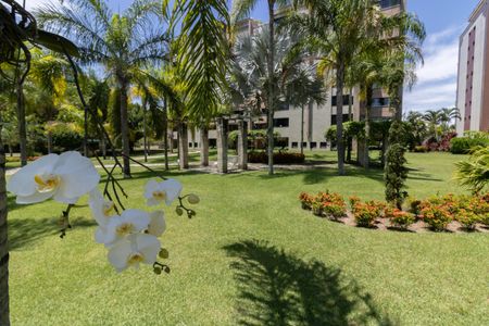 Apartamento à venda com 240m², 4 quartos e 3 vagasÁrea comum