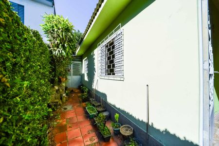 Casa à venda com 70m², 3 quartos e 1 vaga Casa à venda com 70m², 3 quartos e 1 vagaLateral