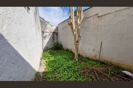 Casa à venda com 3 quartos, 110m² em Jardim Umuarama, São Paulo
